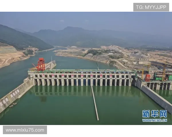 学校体育联赛发展（校级体育赛事）sports